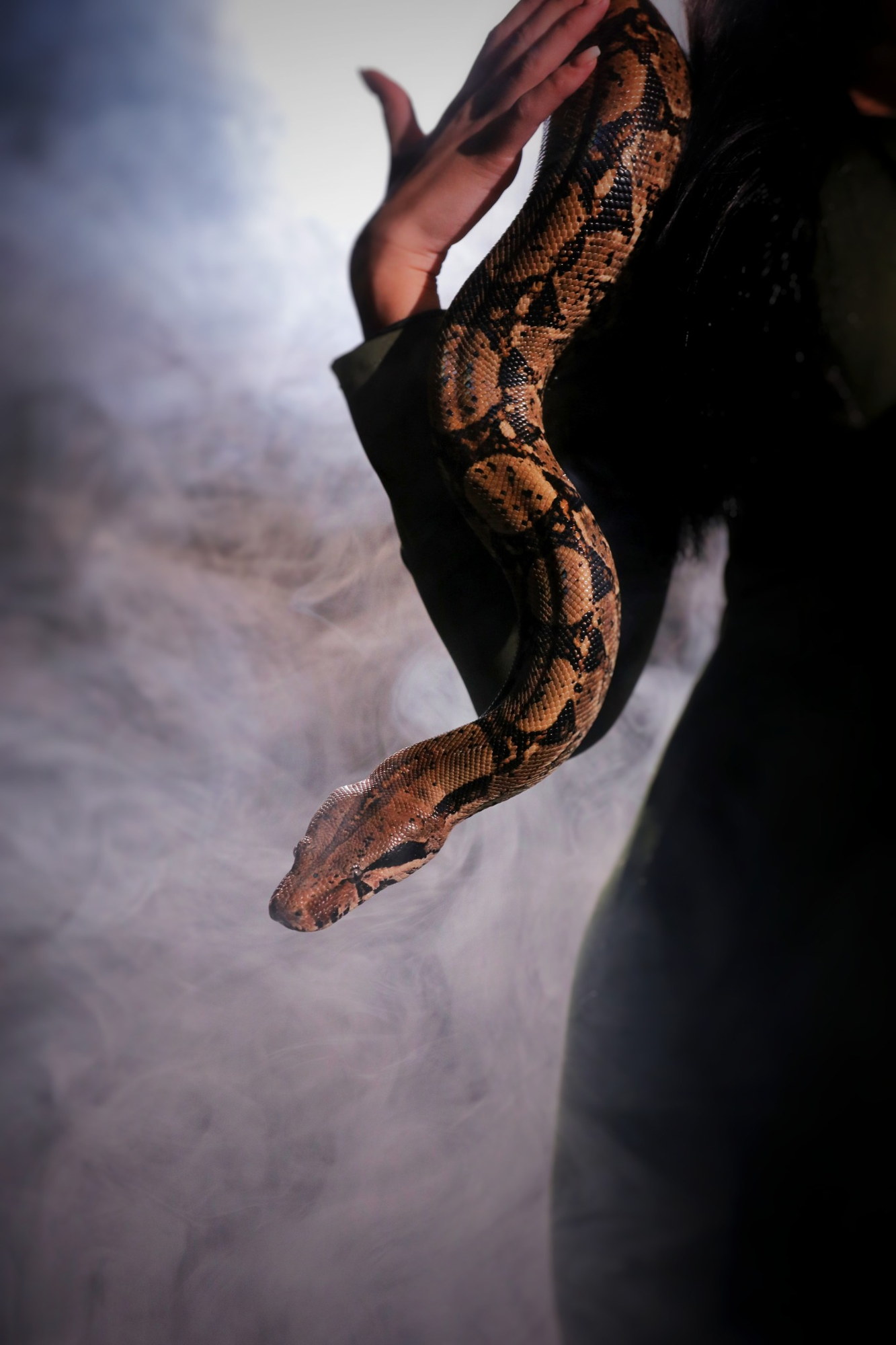 Portrait artistique avec un serpent dans une atmosphère brumeuse